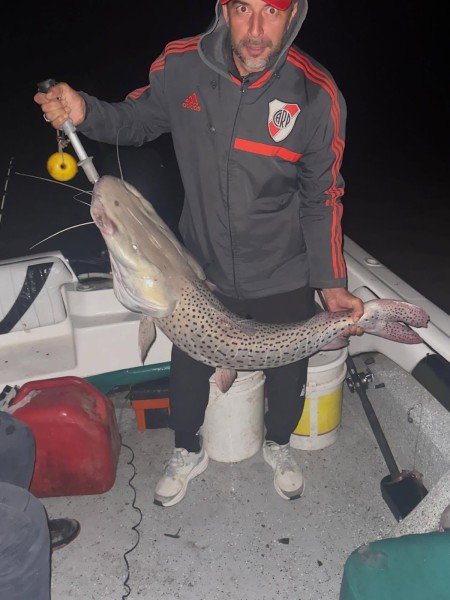 Pescador levanta un surubí durante una salida nocturna, Esquina, Corrientes