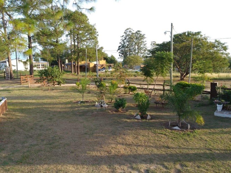 Jardín arbolado del alojamiento, Esquina, Corrientes
